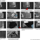 Image for article titled Sister...This Storyboard Artist Has a Twin Sister...